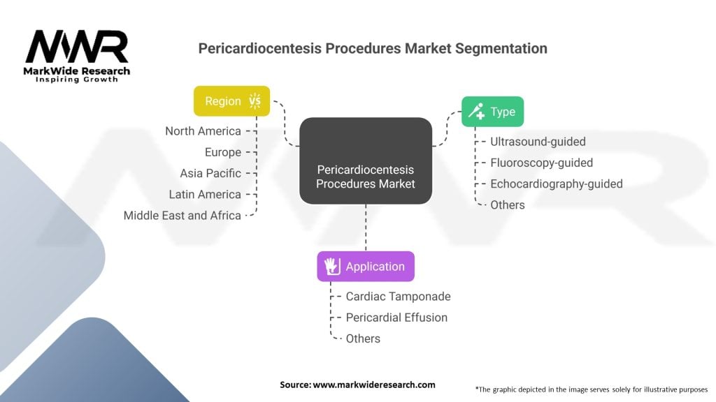 Pericardiocentesis Procedures Market Segmentation