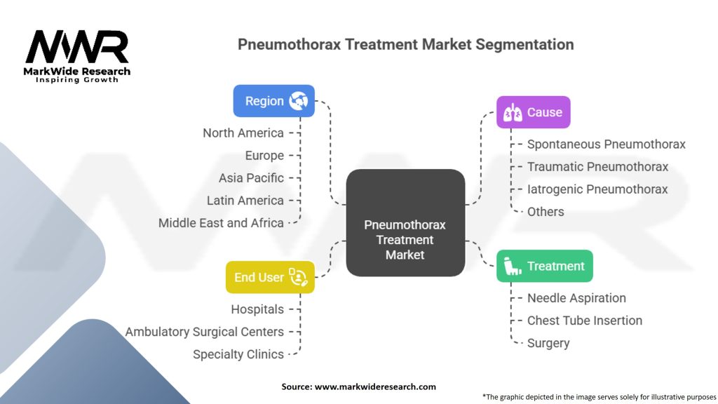 Pneumothorax Treatment Market Segmentation