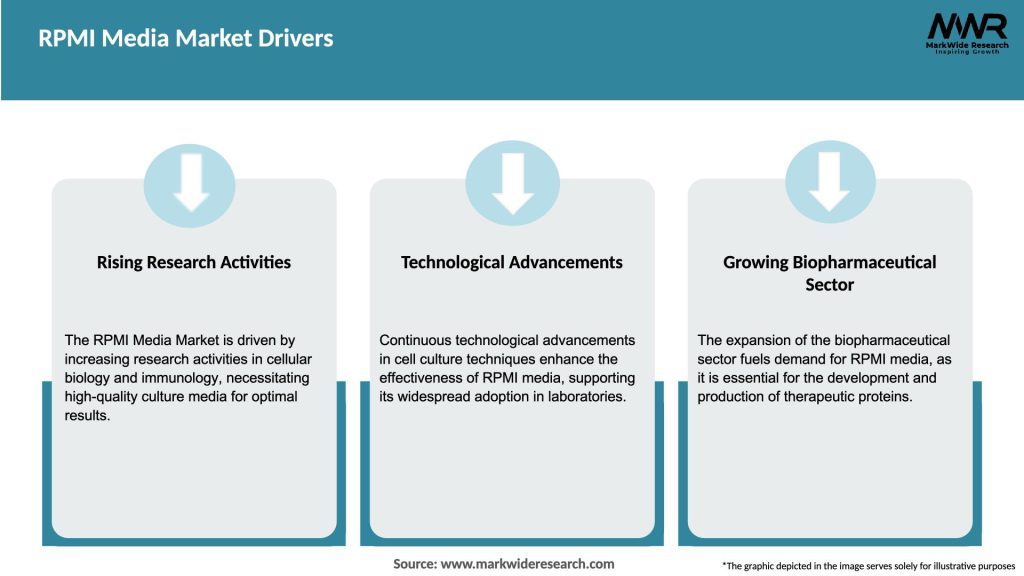 RPMI Media Market Drivers