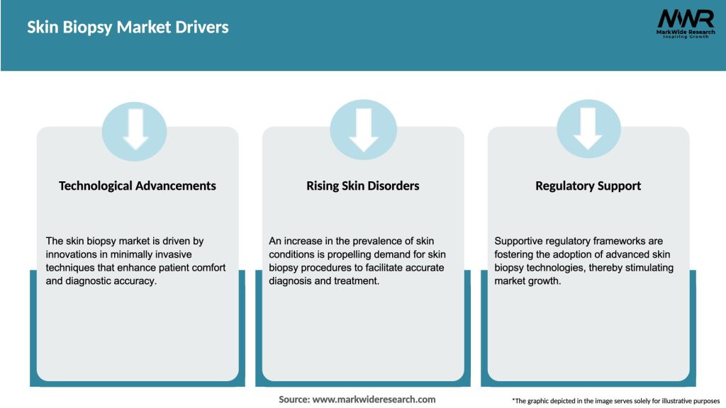Skin Biopsy Market Drivers