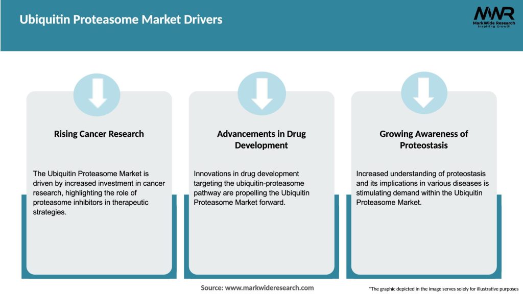 Ubiquitin Proteasome Market Drivers