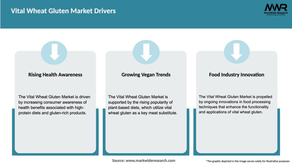 Vital Wheat Gluten Market Drivers