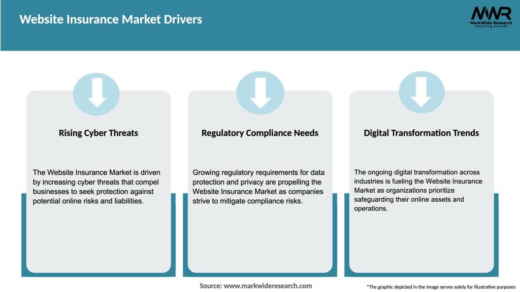 Website Insurance Market Drivers