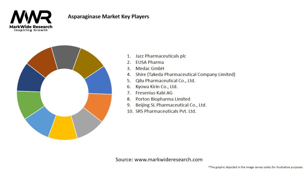 Asparaginase market Key Players