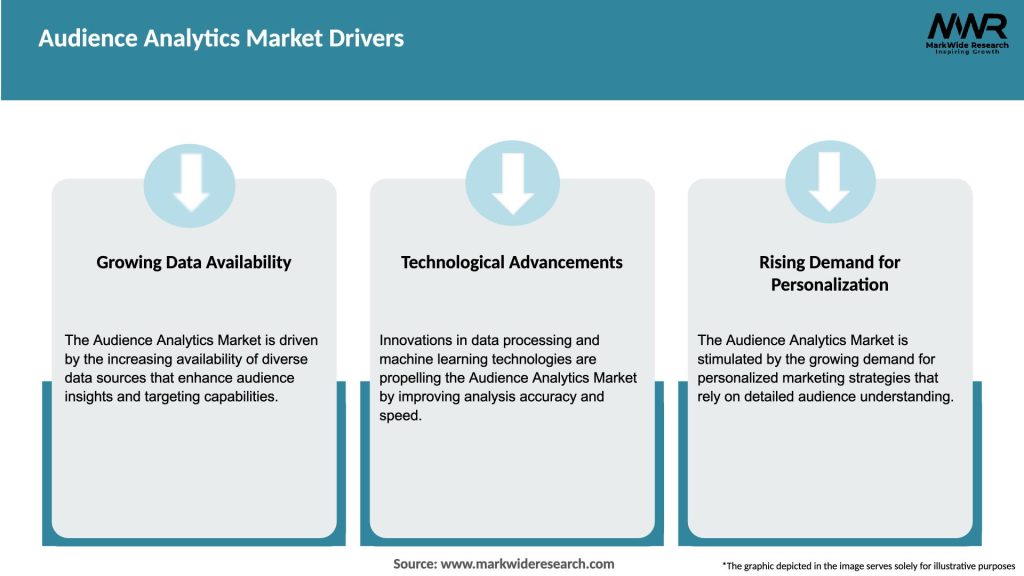 Audience Analytics Market Drivers