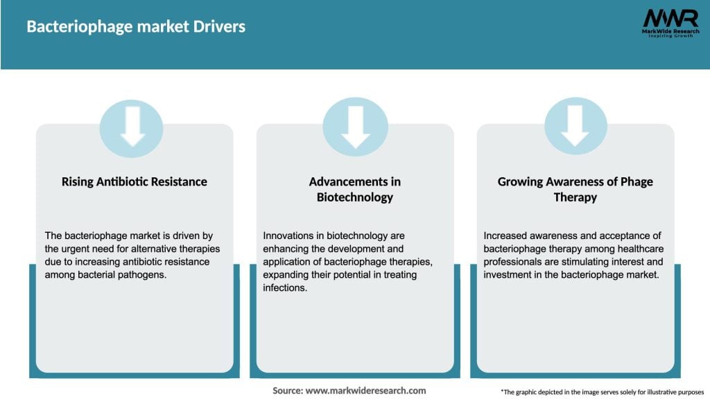 Bacteriophage market Drivers