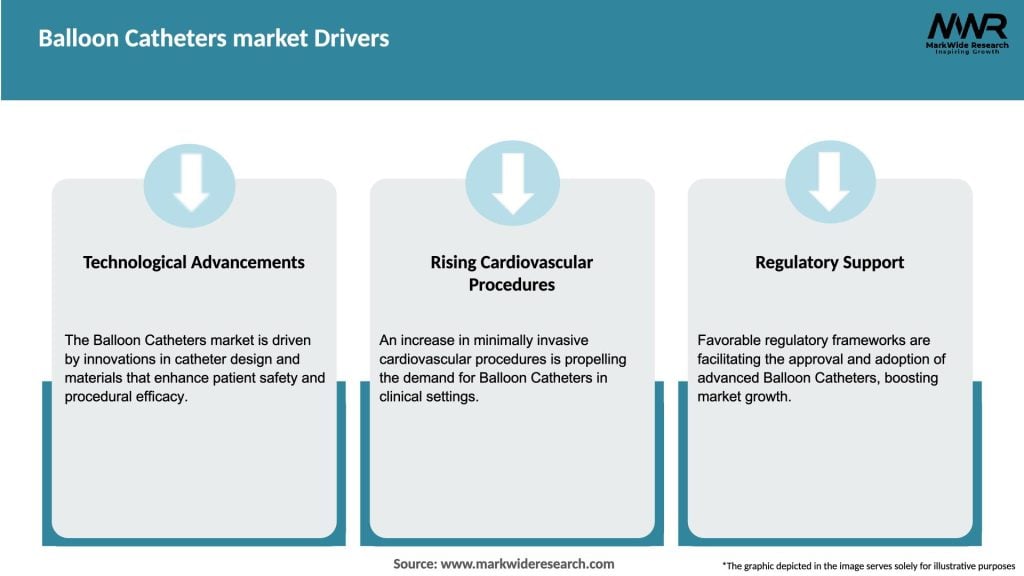 Balloon Catheters market Drivers