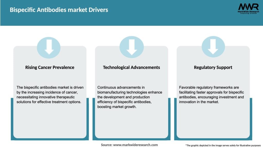 Bispecific Antibodies market Drivers