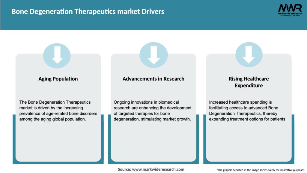 Bone Degeneration Therapeutics market Drivers
