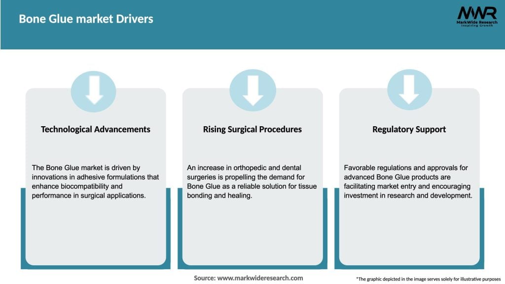 Bone Glue market Drivers