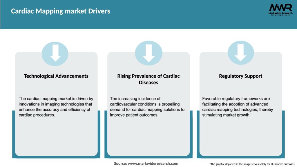 Cardiac Mapping market Drivers