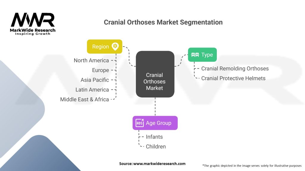 Cranial Orthoses market Segmentation