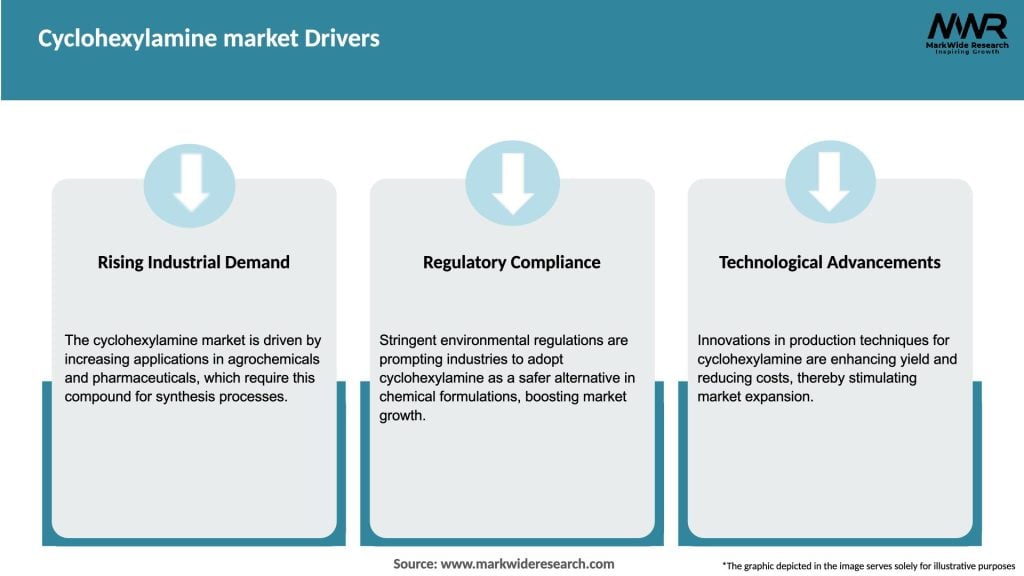 Cyclohexylamine market Drivers