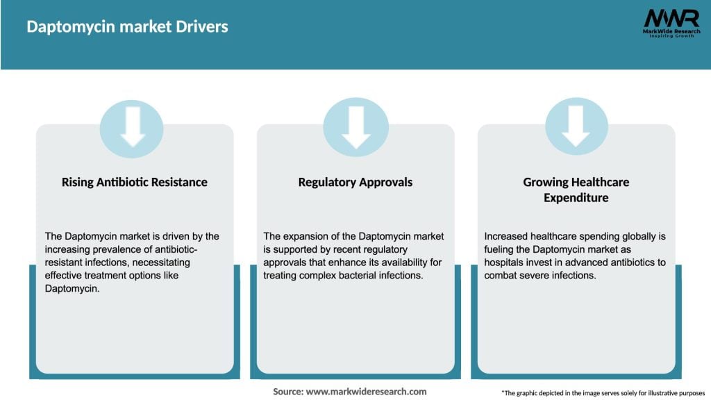 Daptomycin market Drivers