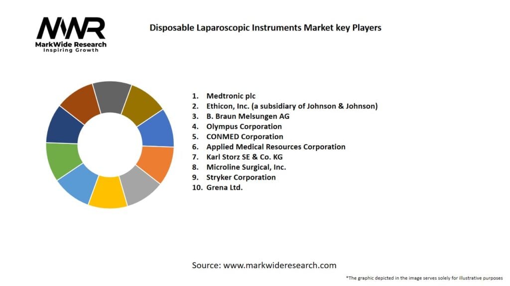 Disposable Laparoscopic Instruments market Key Players
