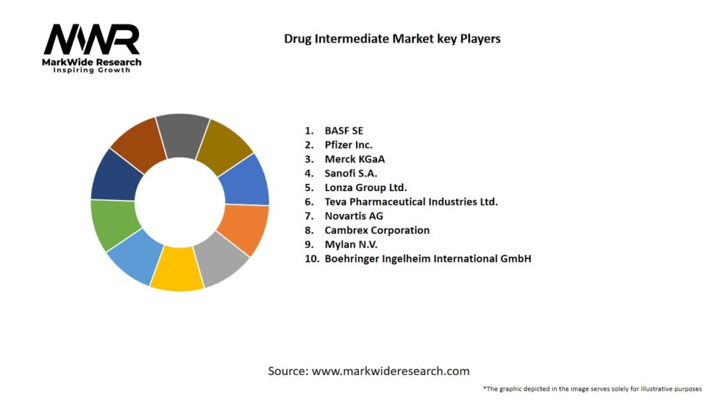 Drug Intermediate market Key Players