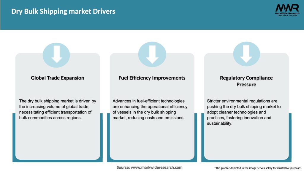 Dry Bulk Shipping market Drivers