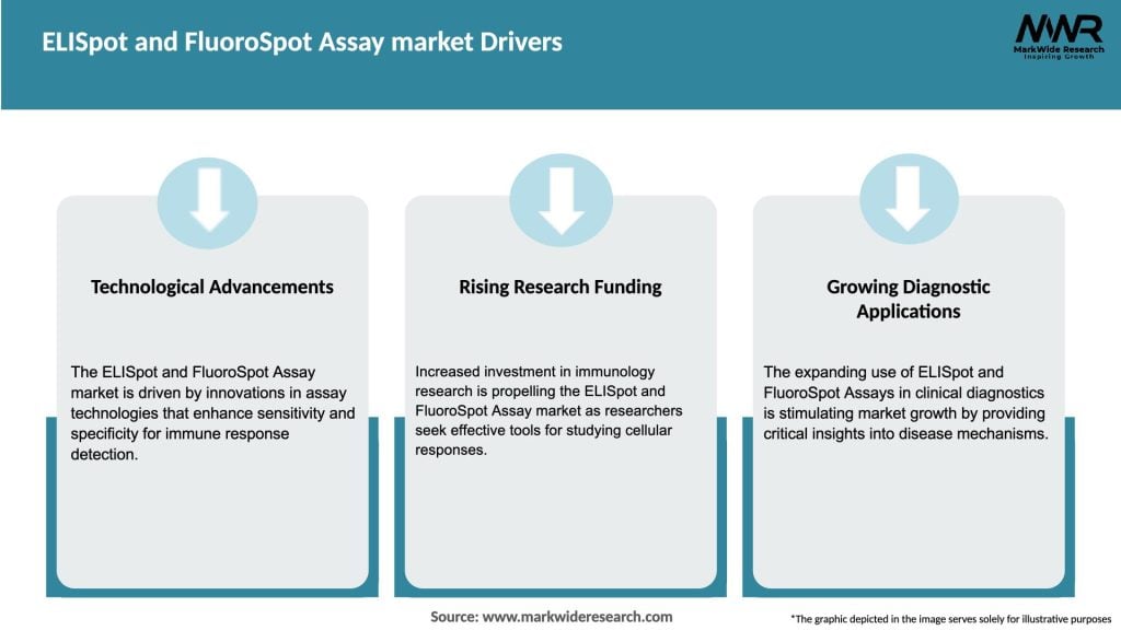 ELISpot and FluoroSpot Assay market Drivers