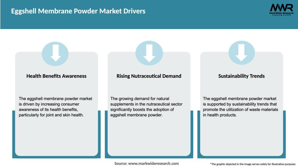 Eggshell Membrane Powder Market Drivers