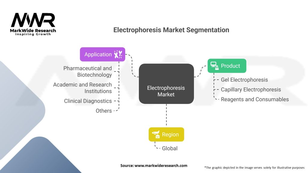 Electrophoresis market Segmentation