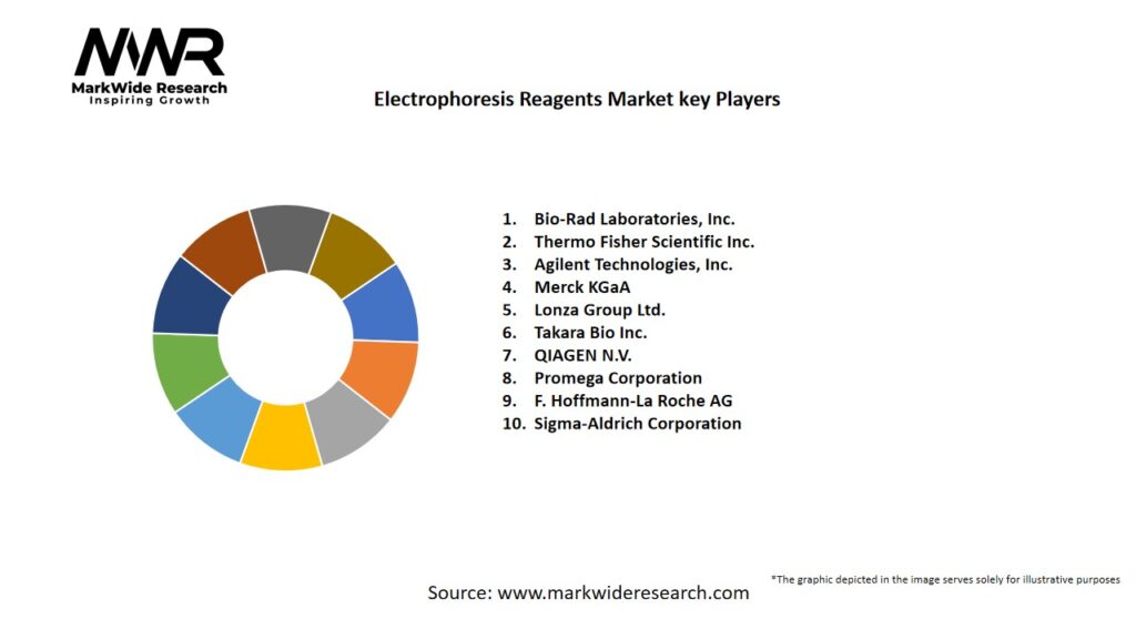Electrophoresis Reagents Market Key Players