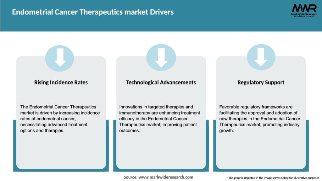 Endometrial Cancer Therapeutics market Drivers