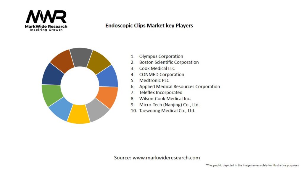 Endoscopic Clips Market Key Players