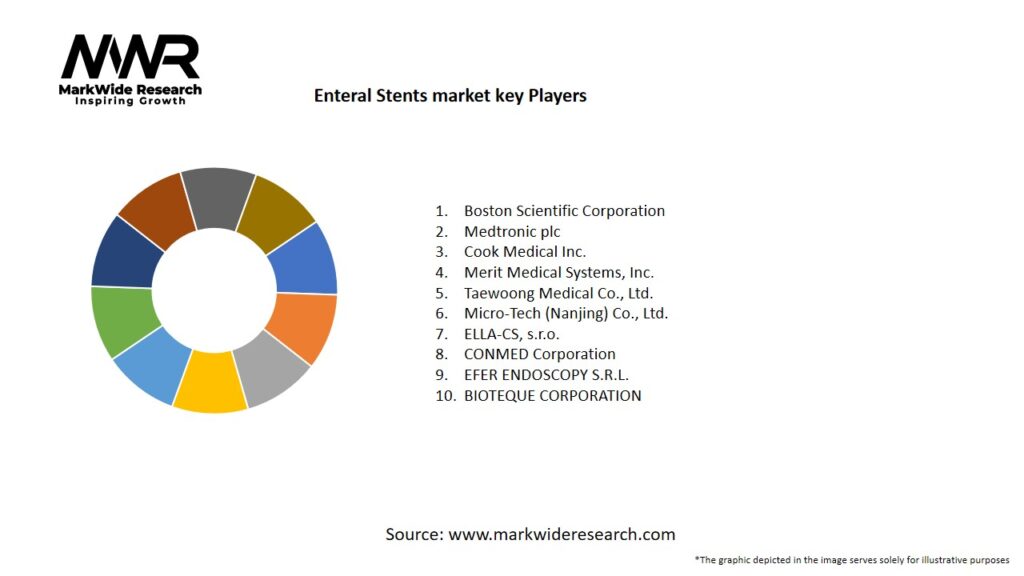 Enteral Stents market Key Players
