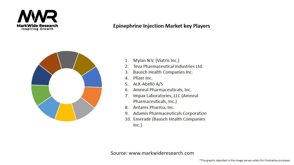 Epinephrine Injection market Key Players