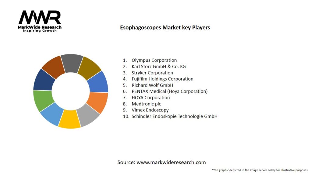 Esophagoscopes Market