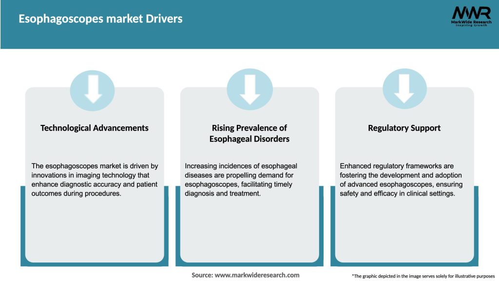 Esophagoscopes market Drivers