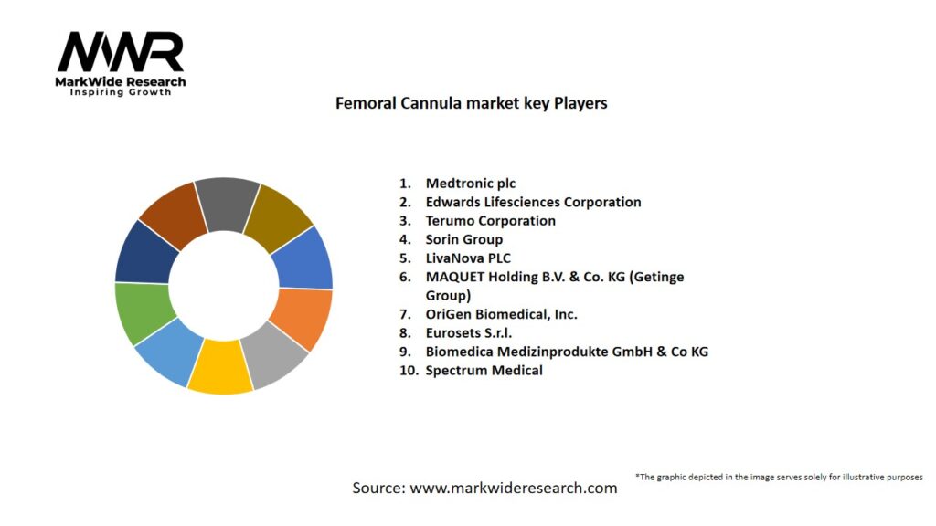 Femoral Cannula market Key Players
