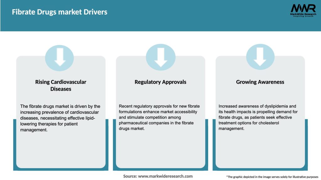 Fibrate Drugs market Drivers