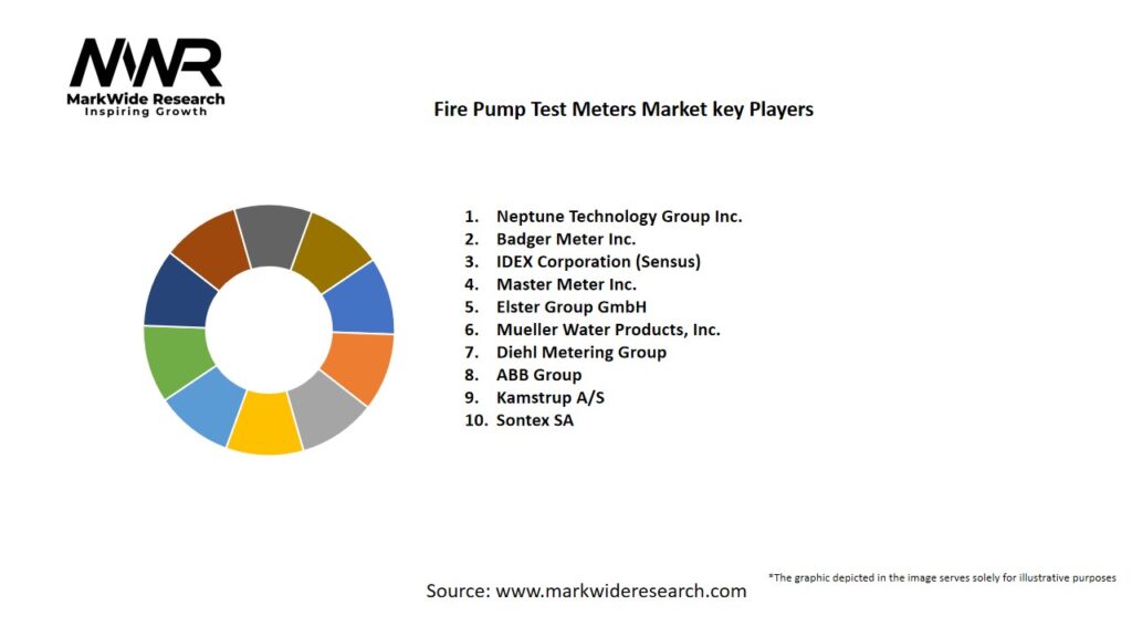 Fire Pump Test Meters market Key Players