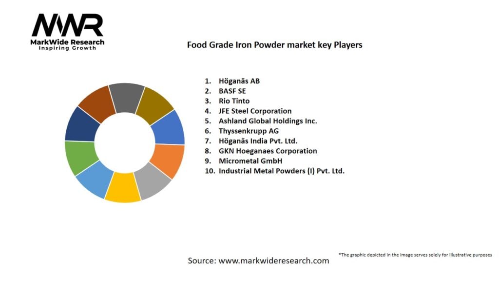 Food Grade Iron Powder market Key Players