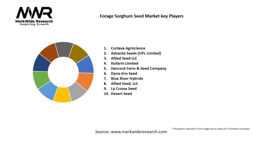 Forage Sorghum Seed Market Key Players