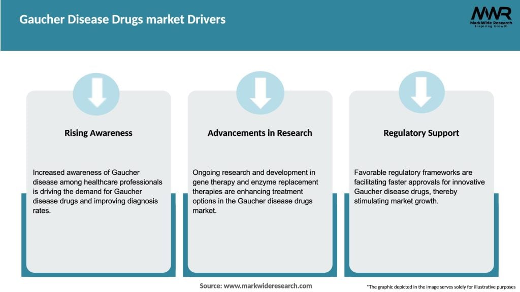 Gaucher Disease Drugs market Drivers