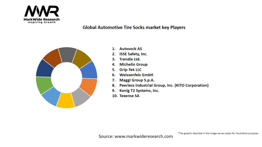 Global Automotive Tire Socks market