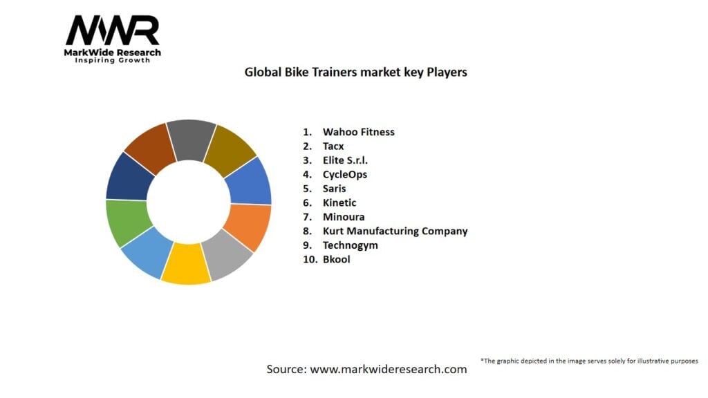 Global Bike Trainers market Key Players