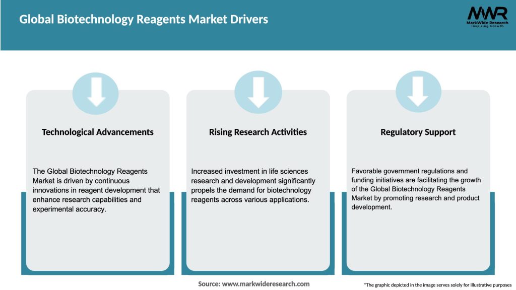 Global Biotechnology Reagents Market Drivers