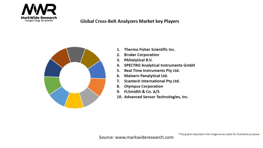 Global Cross-Belt Analyzers Market