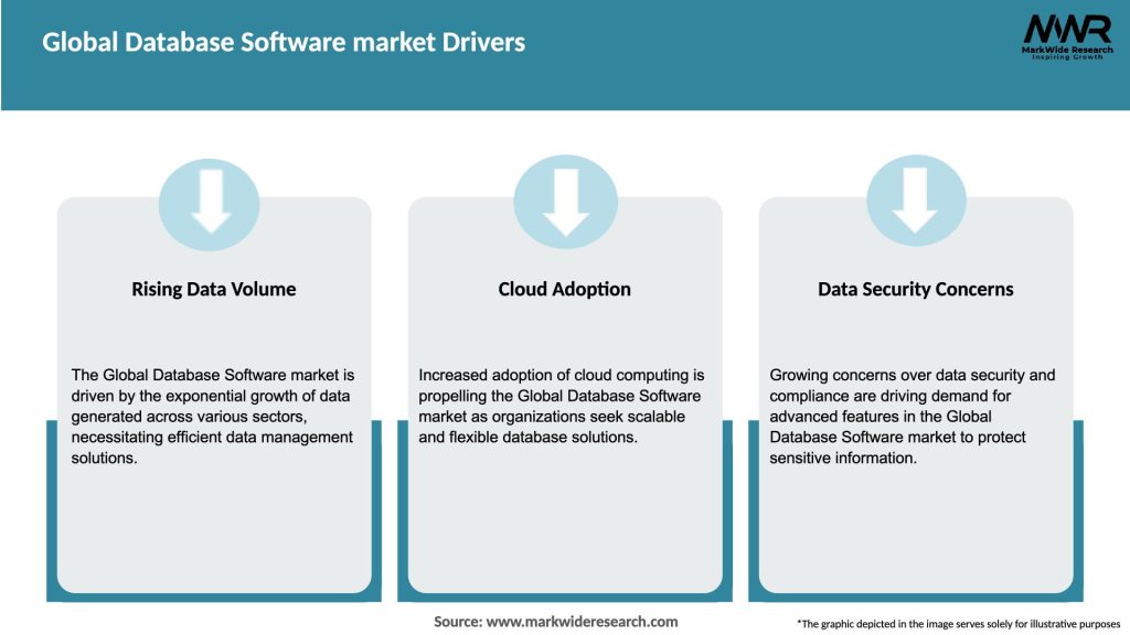 Global Database Software market Drivers