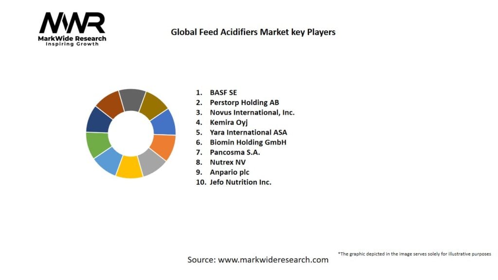 Global Feed Acidifiers market Key Players