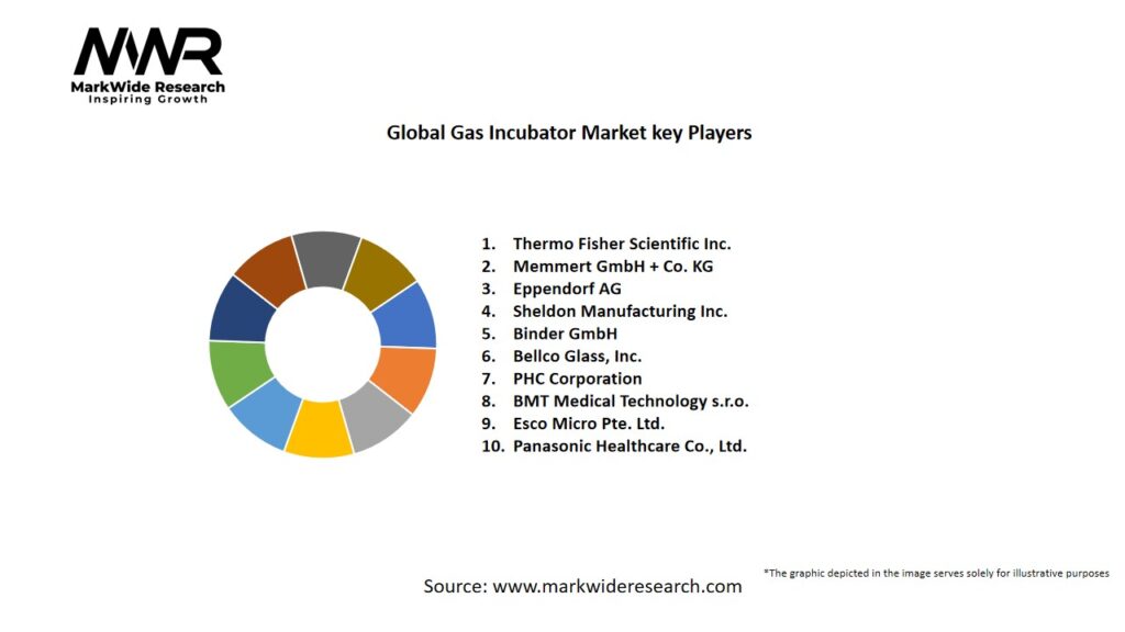 Global Gas Incubator market Key Players