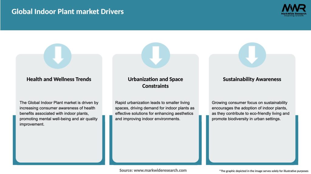 Global Indoor Plant market Drivers
