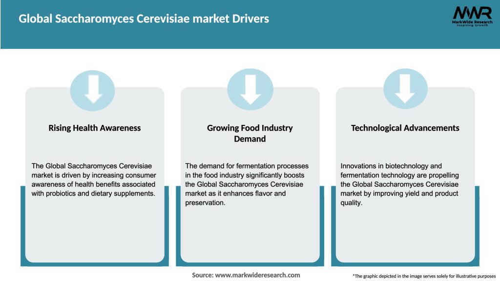 Global Saccharomyces Cerevisiae market Drivers