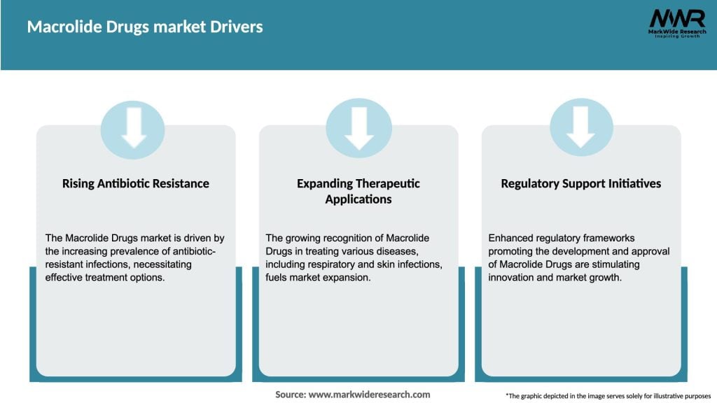 Macrolide Drugs market Drivers