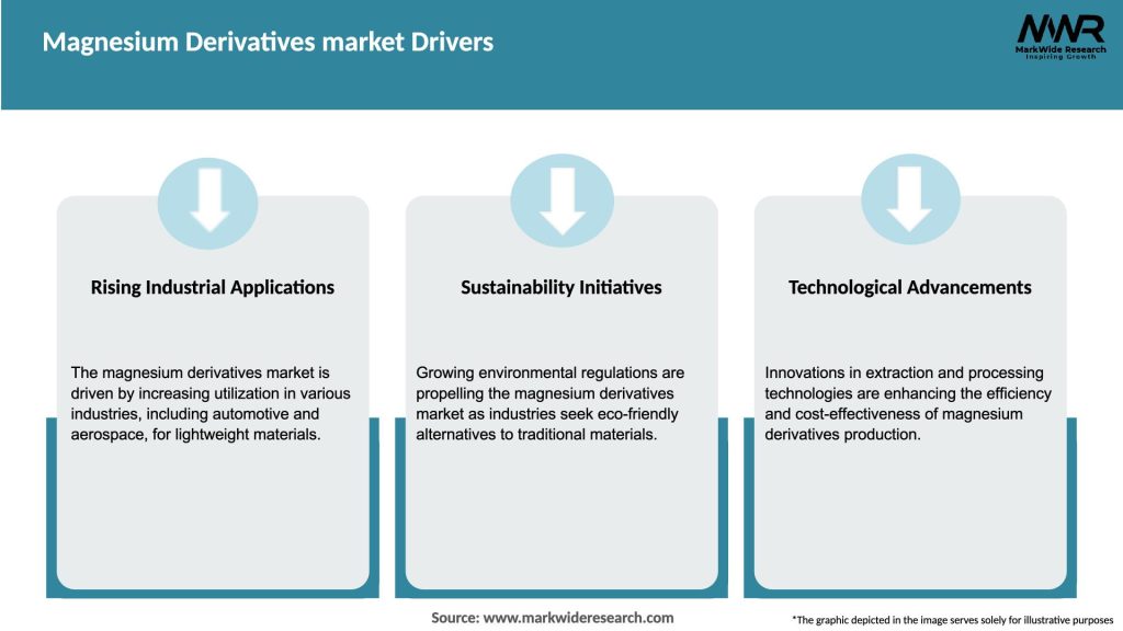Magnesium Derivatives market Drivers