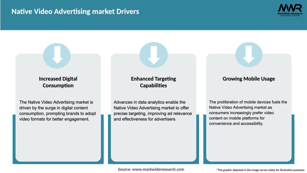 Native Video Advertising market Drivers