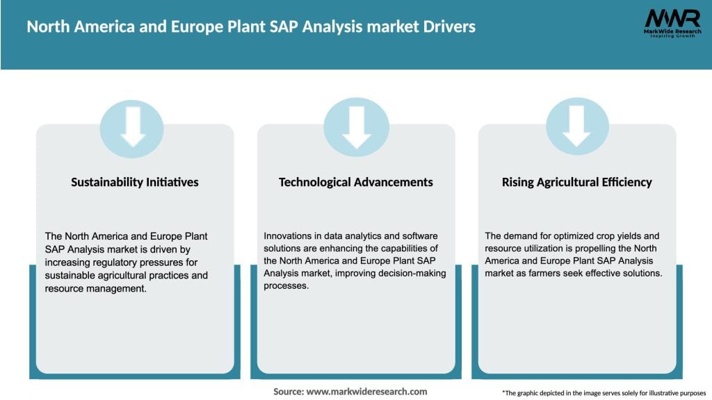 North America and Europe Plant SAP Analysis market Drivers